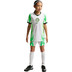 Nike Nigeria Uit Shirt Kids 2026/2028 9