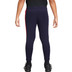 Nike FC Barcelona Academy Pro Pant Little Kids 2