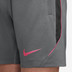 Nike Strike Shorts Kinder 4