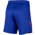 Nike Paris Saint-Germain Heimshorts 26/27 2