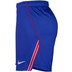 Nike Paris Saint-Germain Heimshorts 26/27 4