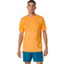 ASICS Road Seamless T-Shirt Herren 1