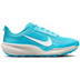 Nike ACG Pegasus Trail Heren 1
