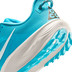 Nike ACG Pegasus Trail Heren 6
