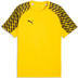 Puma LIGA26 Training Shirt 1