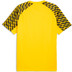 Puma LIGA26 Training Shirt 2