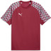 Puma LIGA26 Trainingsset 2