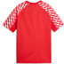 Puma LIGA26 Trainingsset Kids 3