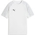 Puma LIGA26 Trainingsset Kids 2