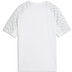 Puma LIGA26 Trainingsset Kids 3