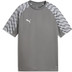 Puma LIGA26 Training Shirt Kids 1