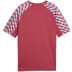 Puma LIGA26 Training Shirt Kids 2