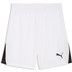 Puma LIGA26 Training Short 1