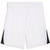 Puma LIGA26 Training Short 2