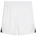 Puma LIGA26 Training Short Kids 2