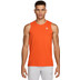 Nike Dri-FIT ACG Solar Chase Singlet Heren 1