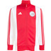adidas Ajax DNA Ensemble Training Jr 26/27 3