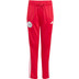 adidas Ajax DNA Ensemble Training Jr 26/27 4