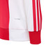adidas Ajax DNA Ensemble Training Jr 26/27 7