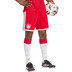 adidas Bayern München Pre-Match Trainingsset 2026/2027 9