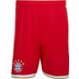 adidas Bayern München Pre-Match Trainingsset 2026/2027 11