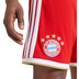 adidas Bayern München Pre-Match Trainingsset 2026/2027 13