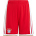 adidas Bayern München Thuis Tenue Kids 2026/2027 11