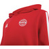 adidas Bayern München DNA Hoody Kids 2026/2027 6