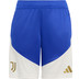 adidas Juventus Training Short Kids 2026/2027 3