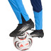 adidas Paris FC Trainingshose 26/27 5
