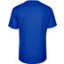 The Indian Maharadja T-shirt Agility 2