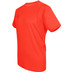 The Indian Maharadja Dryshift T-Shirt 4
