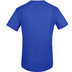 The Indian Maharadja Dryshift T-Shirt 2