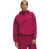 Under Armour Icon Fleece Hoody 1