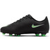 Nike Mercurial Zoom Vapor 17 Club FG/MG Jr 2