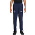 Nike Paris Saint-Germain Academy Pro Hose Kinder 1