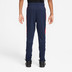 Nike Paris Saint-Germain Academy Pro Hose Kinder 2