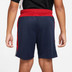 Nike Paris Saint-Germain Academy Pro Shorts Kinder 2