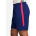 Nike Paris Saint-Germain Strike Shorts 26/27 3