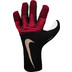 Nike Phantom Dynamic Fit Torwarthandschuhe 1