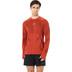 ASICS Road Seamless Langarmshirt Herren 1