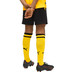 Puma Borussia Dortmund Thuis Short Kids 2026/2027 4
