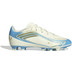 adidas F50 Messi Club FG/MG Kids 1