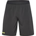 Hummel Blaze 26 Pro Training Shorts 1