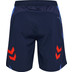 Hummel Blaze 26 Pro Training Shorts 2
