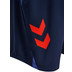 Hummel Blaze 26 Pro Training Shorts 3
