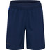 Hummel Blaze 26 Pro Training Shorts Kids 1