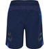 Hummel Blaze 26 Pro Training Shorts Kids 2