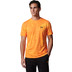 Sjeng Sports Nexus Tee 1