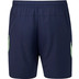 Castore Athletic Club Training Shorts 26/27 2